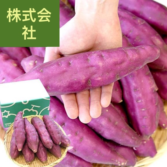 徳島県産　里浦　なると金時「里むすめ」　Lサイズ2.5キロ　10本前後　送料無料　きんとき　さつまいも　サツマイモ　薩摩芋　新芋　高系14号　市場発送