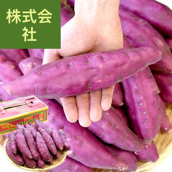 徳島県産　里浦　なると金時「里むすめ」　Lサイズ5キロ　20本前後　送料無料　きんとき　さつまいも　サツマイモ　薩摩芋　新芋　高系14号　市場発送