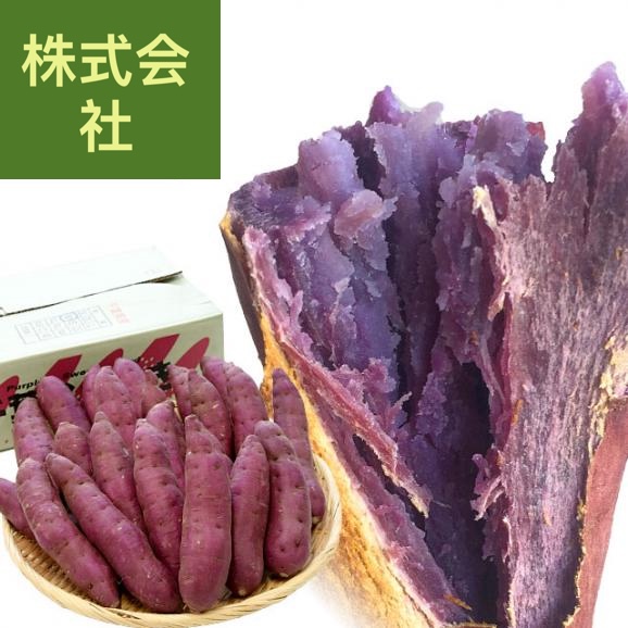 千葉県産　かとり　パープルスイートロード（千葉むらさき）　Mサイズ5キロ　20本前後　送料無料　さつまいも　サツマイモ　薩摩芋　野菜　市場発送
