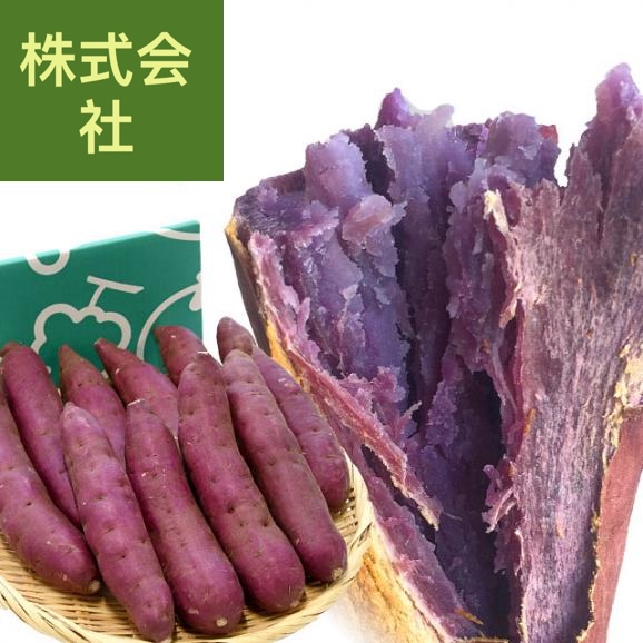 千葉県産　かとり　パープルスイートロード（千葉むらさき）　Mサイズ2.5キロ　10本前後　送料無料　さつまいも　サツマイモ　薩摩芋　野菜　市場発送