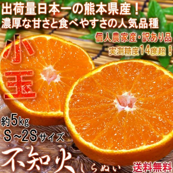 不知火みかん しらぬい 約5kg 2S～Sサイズ 熊本県・個人農家産 訳あり品 実測糖度14度の濃厚な甘さ！デコポンと同一品種の家庭用フルーツ