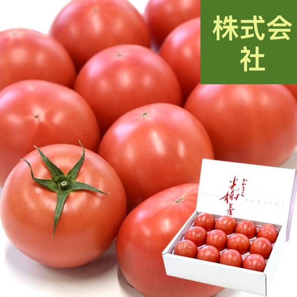 佐賀県産 高糖度 かわそえ光樹トマト 約1キロ化粧箱入 （10玉から16玉入） 送料無料 市場発送