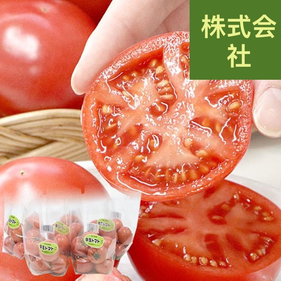 埼玉県産 こだわり農家の小玉トマト 約2.2キロ（約450g×5袋入） 送料無料 春トマト とまと 市場発送