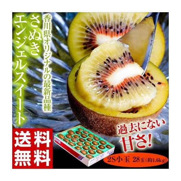 キウイ 送料無料 香川産 さぬきエンジェルスイート 2S 28玉 約1.6kg　※簡易梱包 送料無料